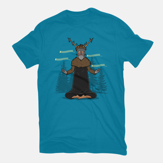 The Knight Who Practices Yoga-Mens-Basic-Tee-Boggs Nicolas