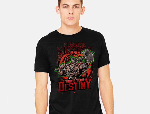 Choose Your Destiny