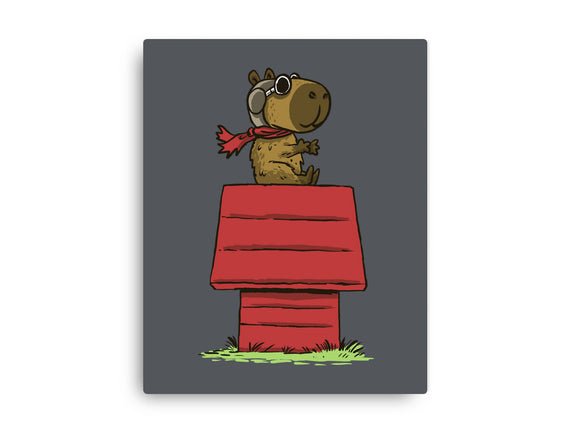 Snoopybara