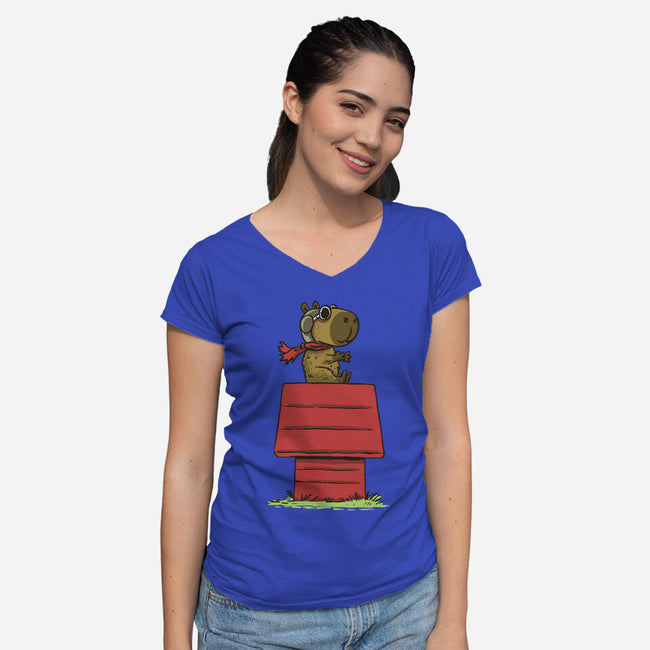 Snoopybara-Womens-V-Neck-Tee-zascanauta