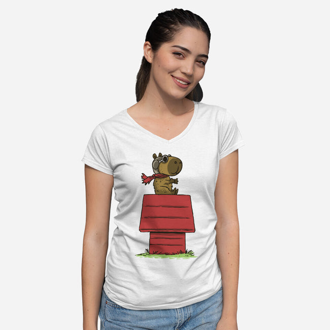 Snoopybara-Womens-V-Neck-Tee-zascanauta