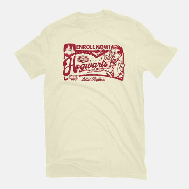 Wizardry Ad-Mens-Basic-Tee-Arinesart