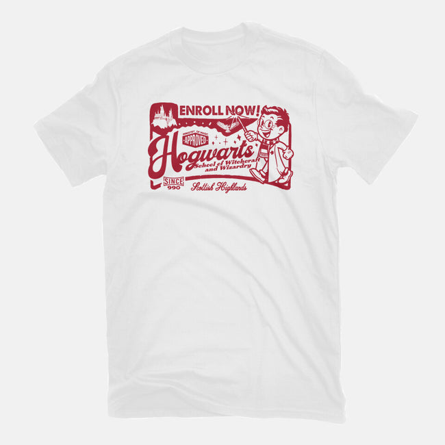Wizardry Ad-Womens-Fitted-Tee-Arinesart