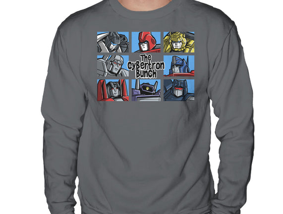 The Transformers Bunch