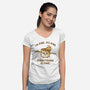 Everything Is Fine-Womens-V-Neck-Tee-kg07