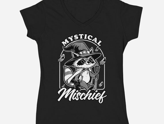 Wizard Magical Raccoon
