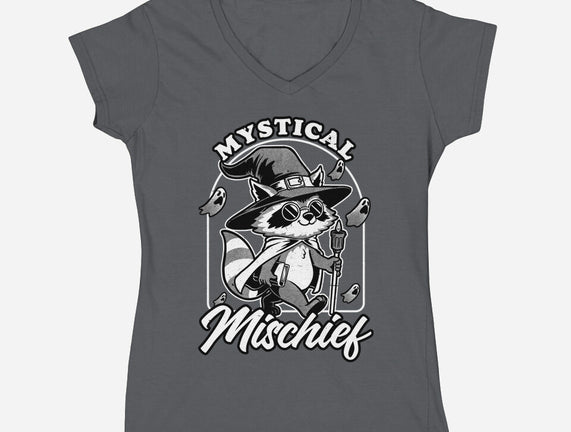Wizard Magical Raccoon