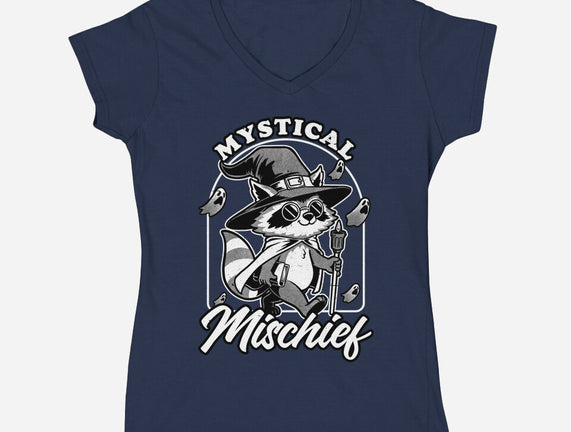 Wizard Magical Raccoon