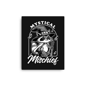 Wizard Magical Raccoon