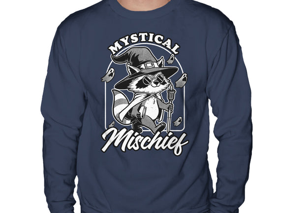 Wizard Magical Raccoon