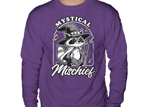 Wizard Magical Raccoon