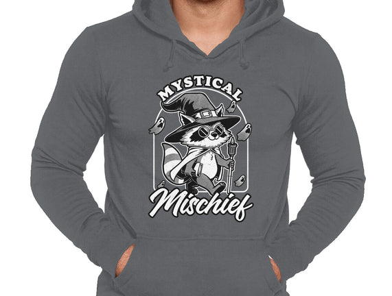 Wizard Magical Raccoon