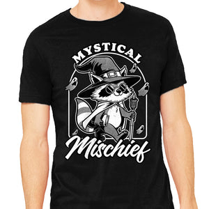 Wizard Magical Raccoon