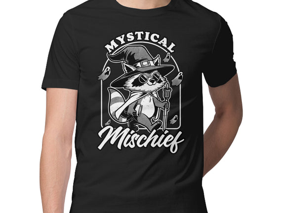 Wizard Magical Raccoon