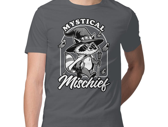 Wizard Magical Raccoon