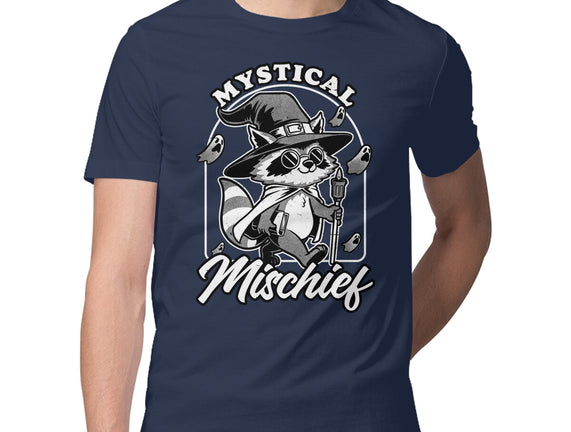 Wizard Magical Raccoon