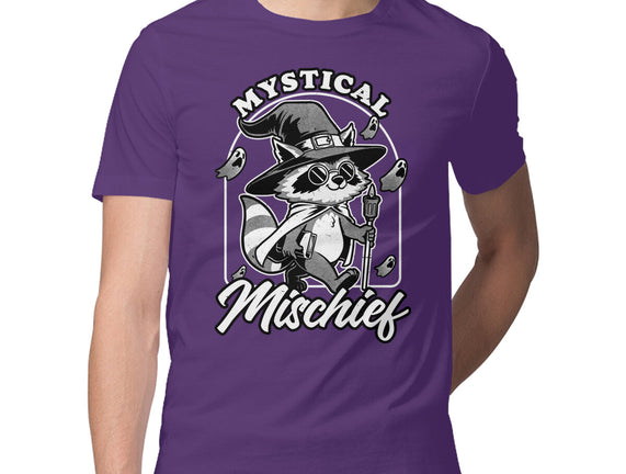 Wizard Magical Raccoon