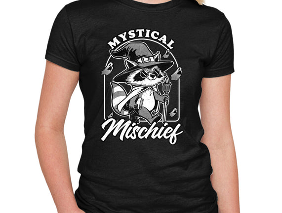 Wizard Magical Raccoon