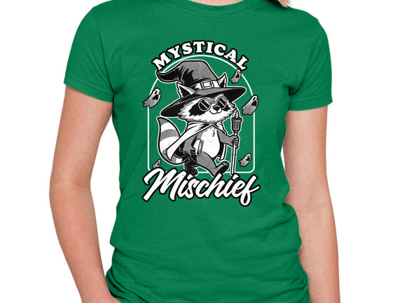 Wizard Magical Raccoon