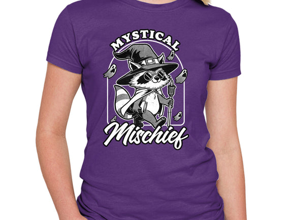 Wizard Magical Raccoon