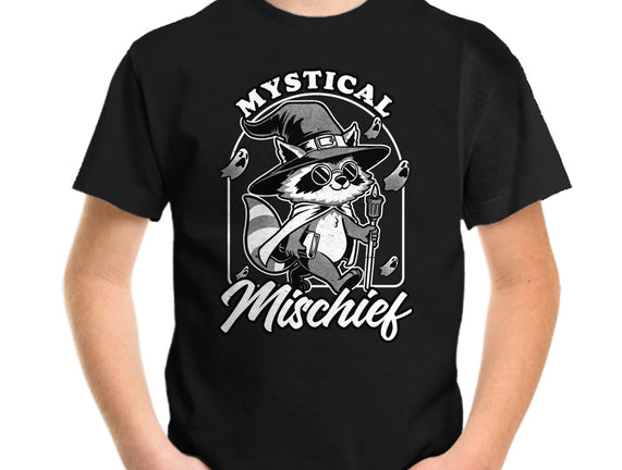 Wizard Magical Raccoon