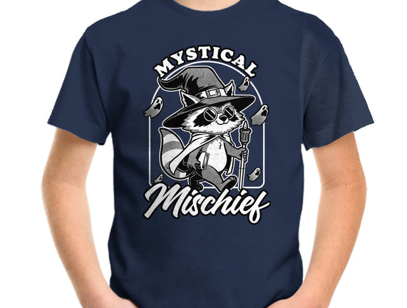 Wizard Magical Raccoon