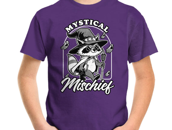 Wizard Magical Raccoon