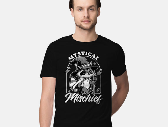 Wizard Magical Raccoon