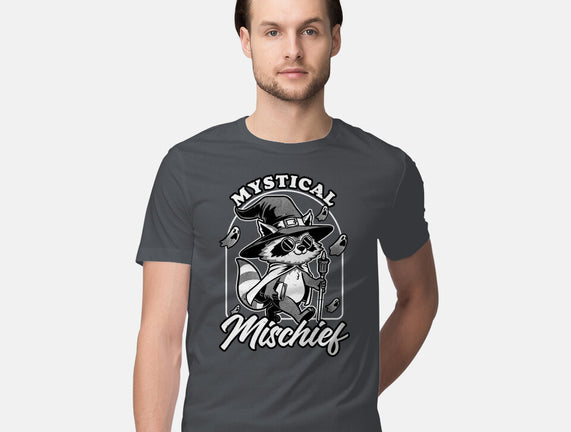 Wizard Magical Raccoon