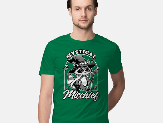 Wizard Magical Raccoon