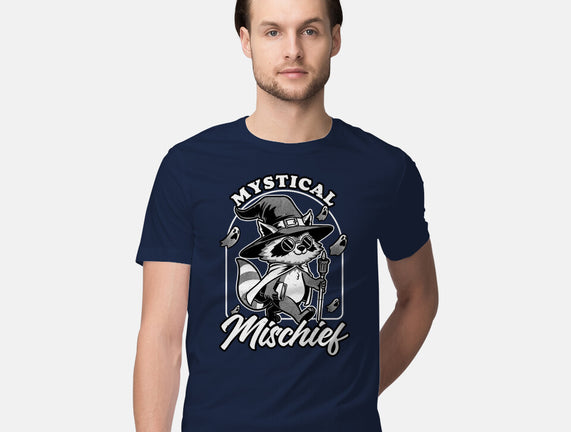 Wizard Magical Raccoon
