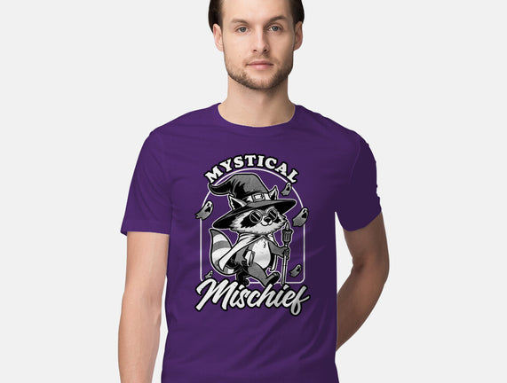 Wizard Magical Raccoon