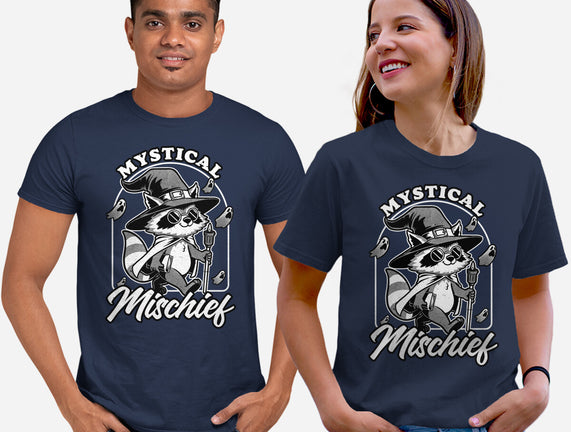 Wizard Magical Raccoon