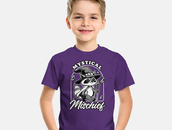 Wizard Magical Raccoon