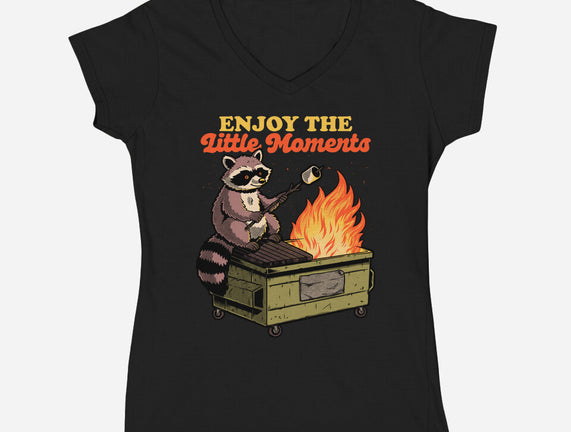 Raccoon Dumpster Fire