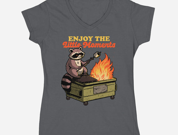 Raccoon Dumpster Fire