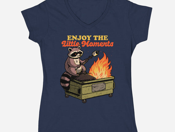 Raccoon Dumpster Fire