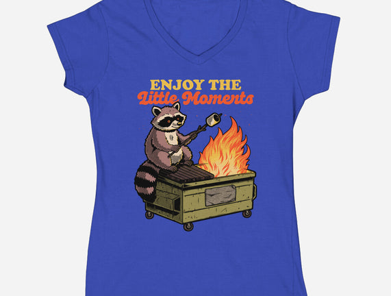 Raccoon Dumpster Fire