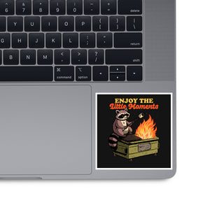 Raccoon Dumpster Fire