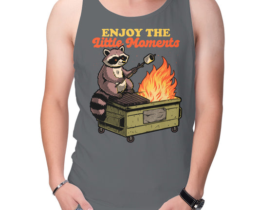 Raccoon Dumpster Fire