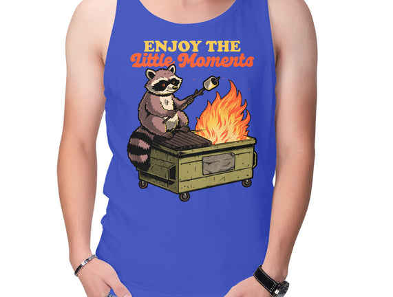 Raccoon Dumpster Fire
