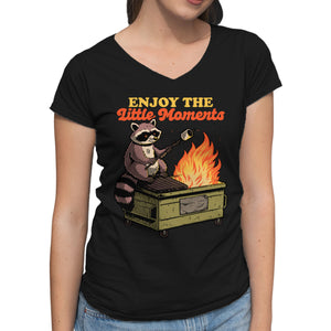 Raccoon Dumpster Fire