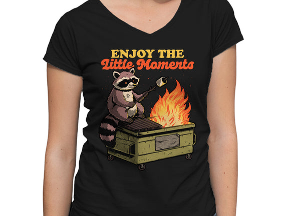 Raccoon Dumpster Fire