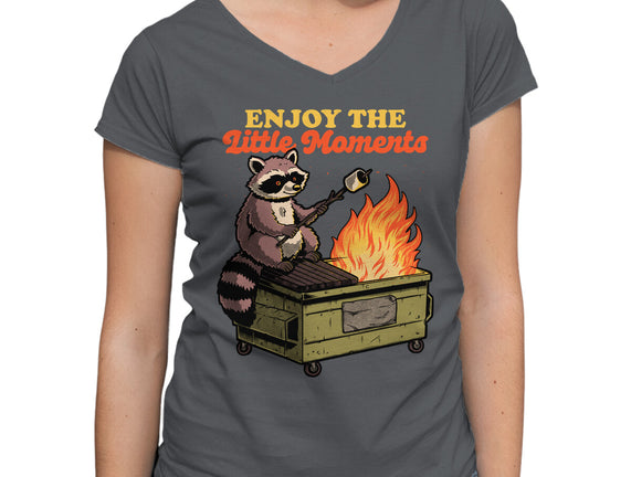 Raccoon Dumpster Fire