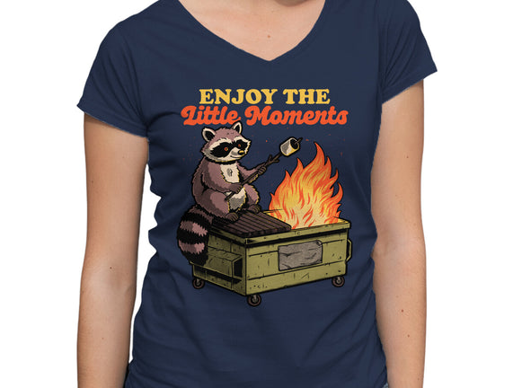Raccoon Dumpster Fire