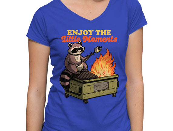 Raccoon Dumpster Fire