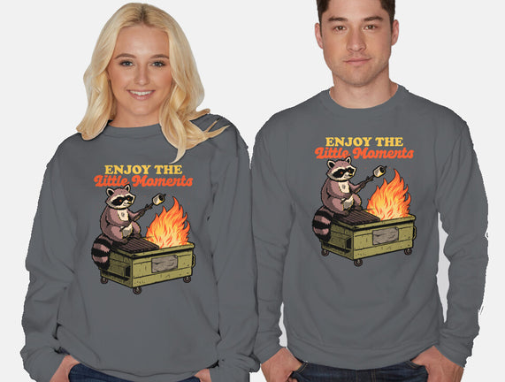 Raccoon Dumpster Fire