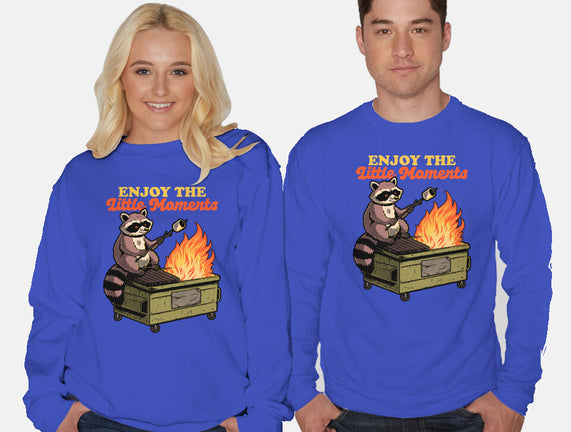 Raccoon Dumpster Fire