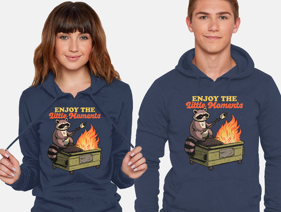 Raccoon Dumpster Fire