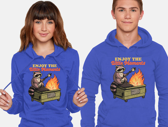 Raccoon Dumpster Fire